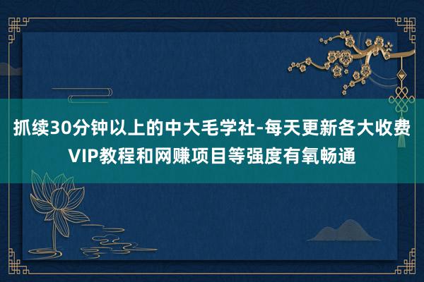 抓续30分钟以上的中大毛学社-每天更新各大收费VIP教程和网赚项目等强度有氧畅通