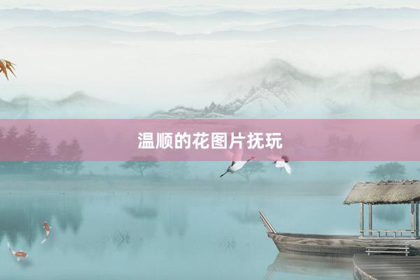温顺的花图片抚玩