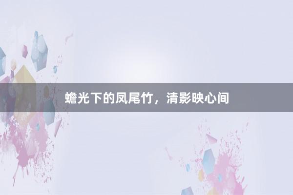 蟾光下的凤尾竹，清影映心间